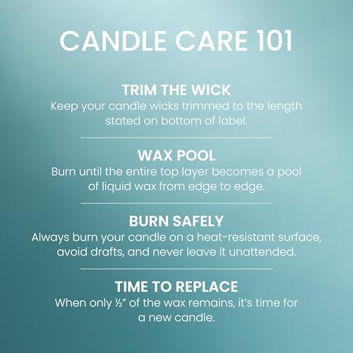 Yankee Candle Balsam & Cedar, Holiday Scented Candle, 22oz Large Jar with up to 150 Hour Burn Time, Giftable