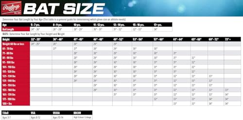 Rawlings | Remix T-Ball Bat | USA Baseball & Softball | -12 Drop | 2 1/4