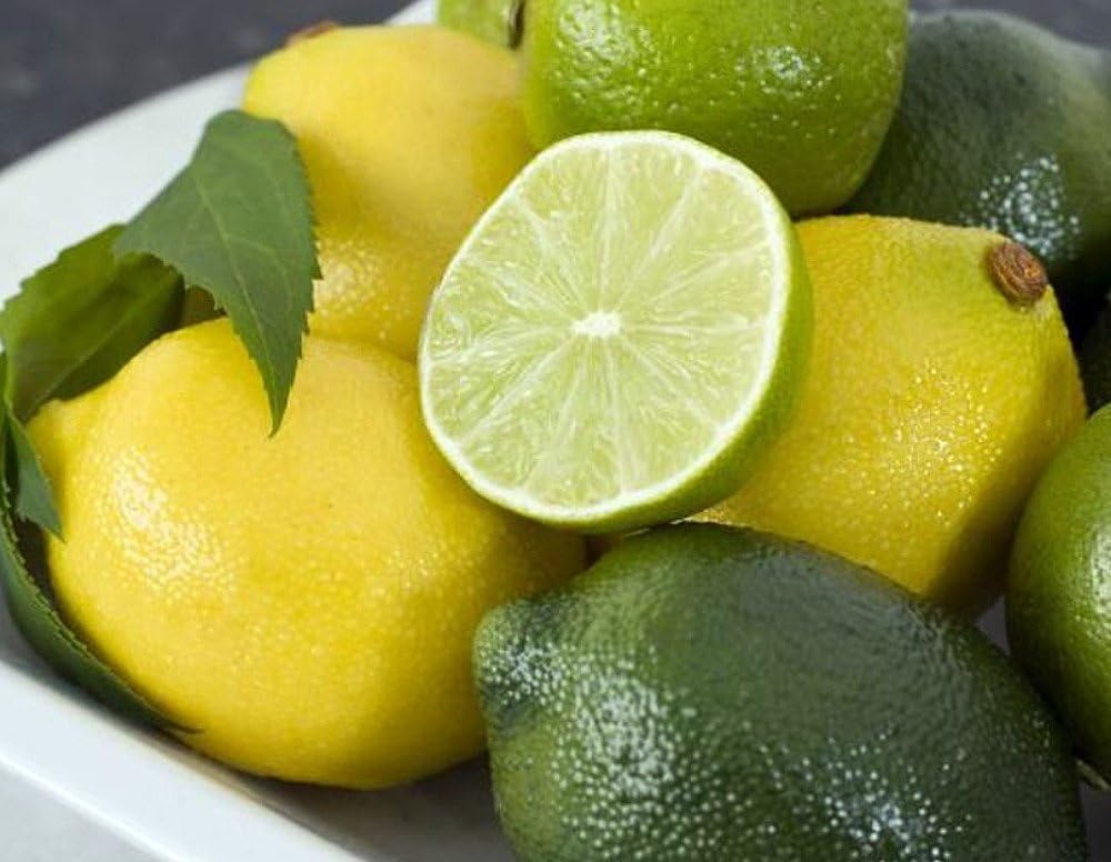 Cocktail Tree-Meyer Lemon/Key Lime - 8