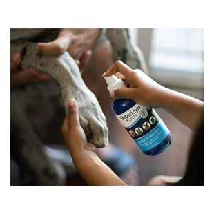 Vetericyn Wound & Skin Care 16 oz - Pet Supplies online store