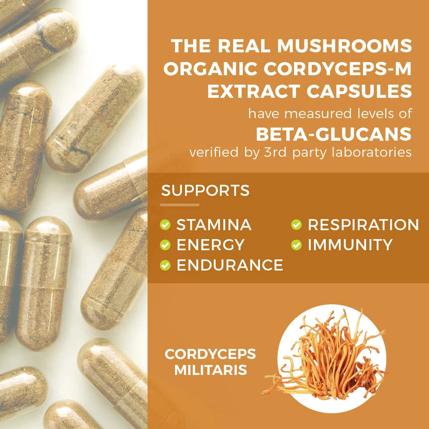 Real Mushrooms Cordyceps Peak Performance Supplement (300)