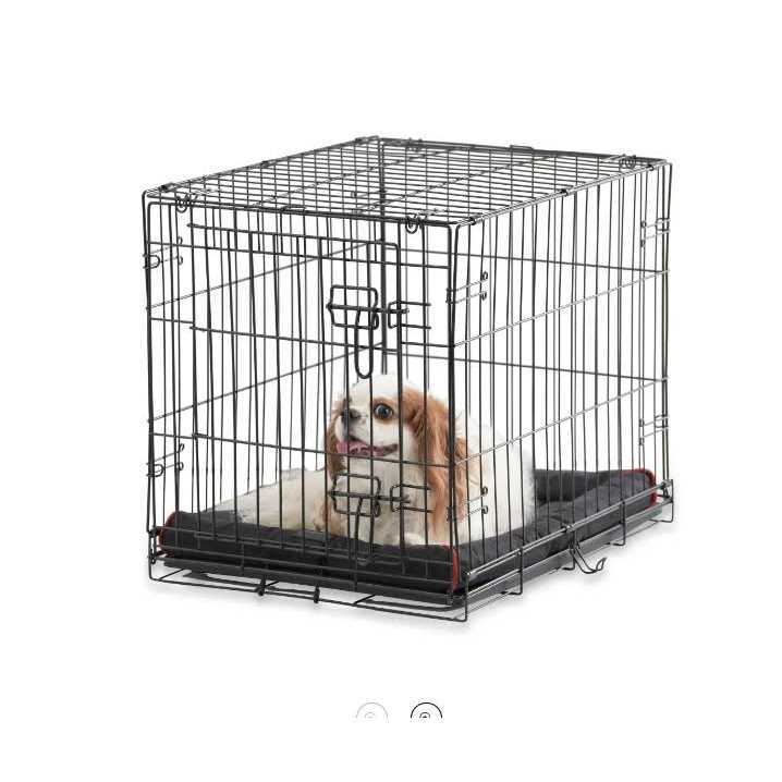 Vibrant Life Single-Door Folding Dog Crate with Divider - Pet Supplies online store