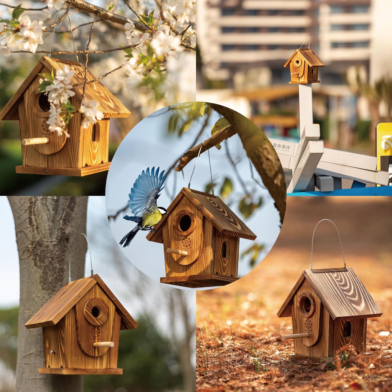 Bird Houses for Outside,DIY Kit for Adults & Kids,Solid Mortise & Tenon Structure,Carbonized for Durability and Aesthetic Appeal,Easy to Clearance,Paint Kit Included