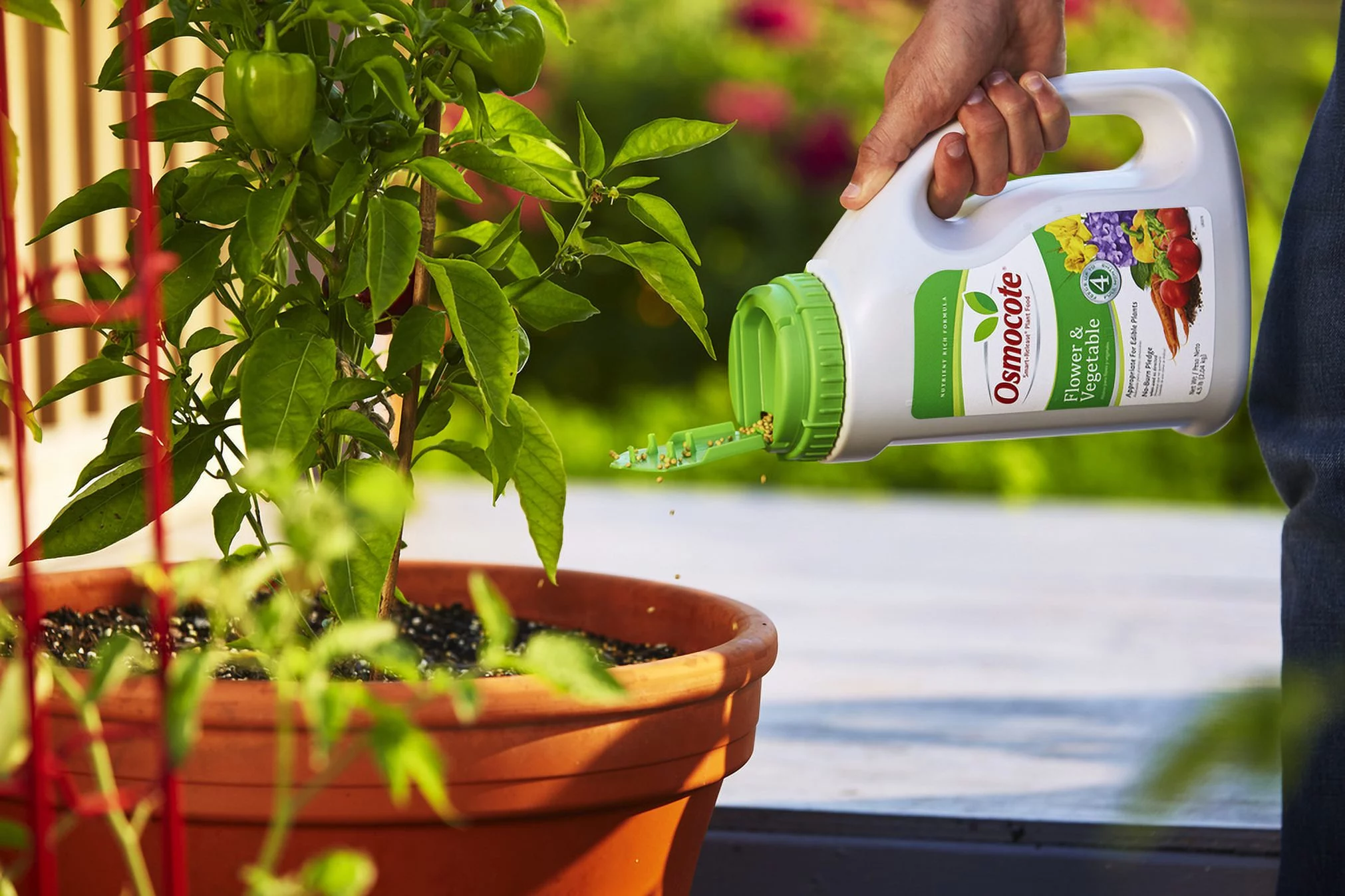 Osmocote Smart-Release Plant Food Flower & Vegetable 4.5 lb.