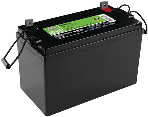 Interstate Batteries 12V 35AH Sealed Lead Acid (SLA) AGM Deep Cycle Battery (DCM0035) Insert Terminals