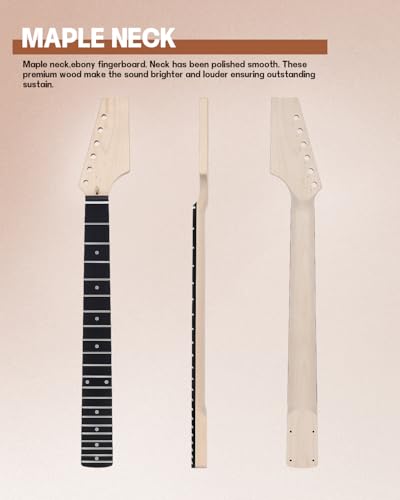 Leo Jaymz DIY Single Cut Electric Guitar Kits with Mahogany Body and Neck - Rosewood Fingerboard and All Components Included (LP Hollow)