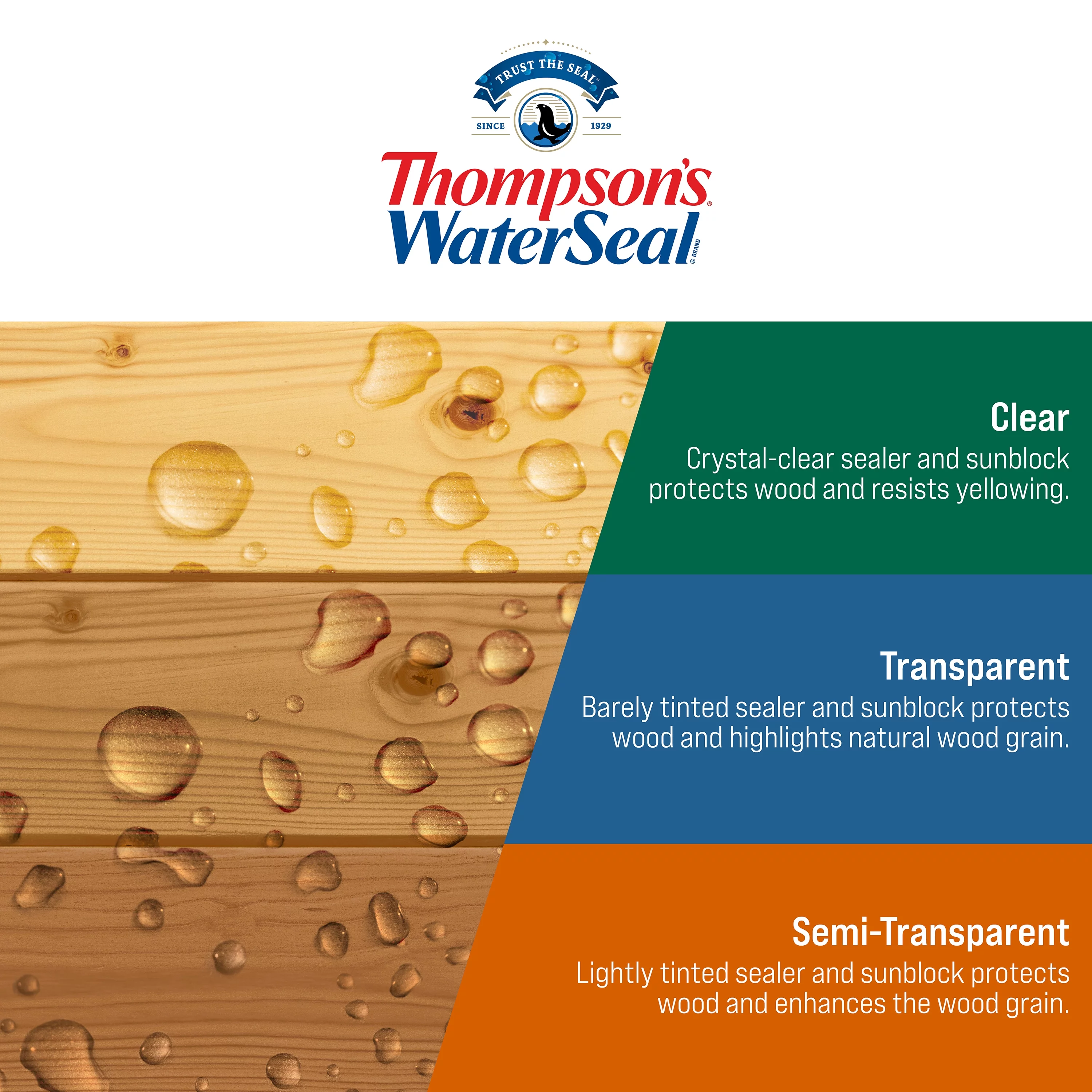 Thompson's WaterSeal Clear Wood Sealer, Clear, 5 Gallon