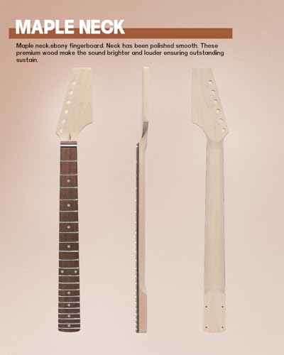 Leo Jaymz DIY Single Cut Electric Guitar Kits with Mahogany Body and Neck - Rosewood Fingerboard and All Components Included (LP Hollow)