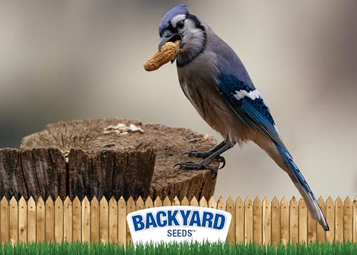 Backyard Seeds 50 Pounds Peanuts in Shell