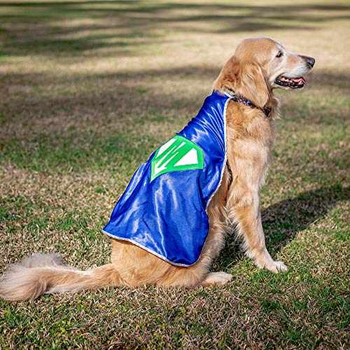 Everfan Personalized Dog Superhero Cape (Small 10