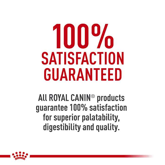 Royal Canin Breed Health Nutrition Labrador Retriever Adult Dry Dog Food - Pet Supplies online store