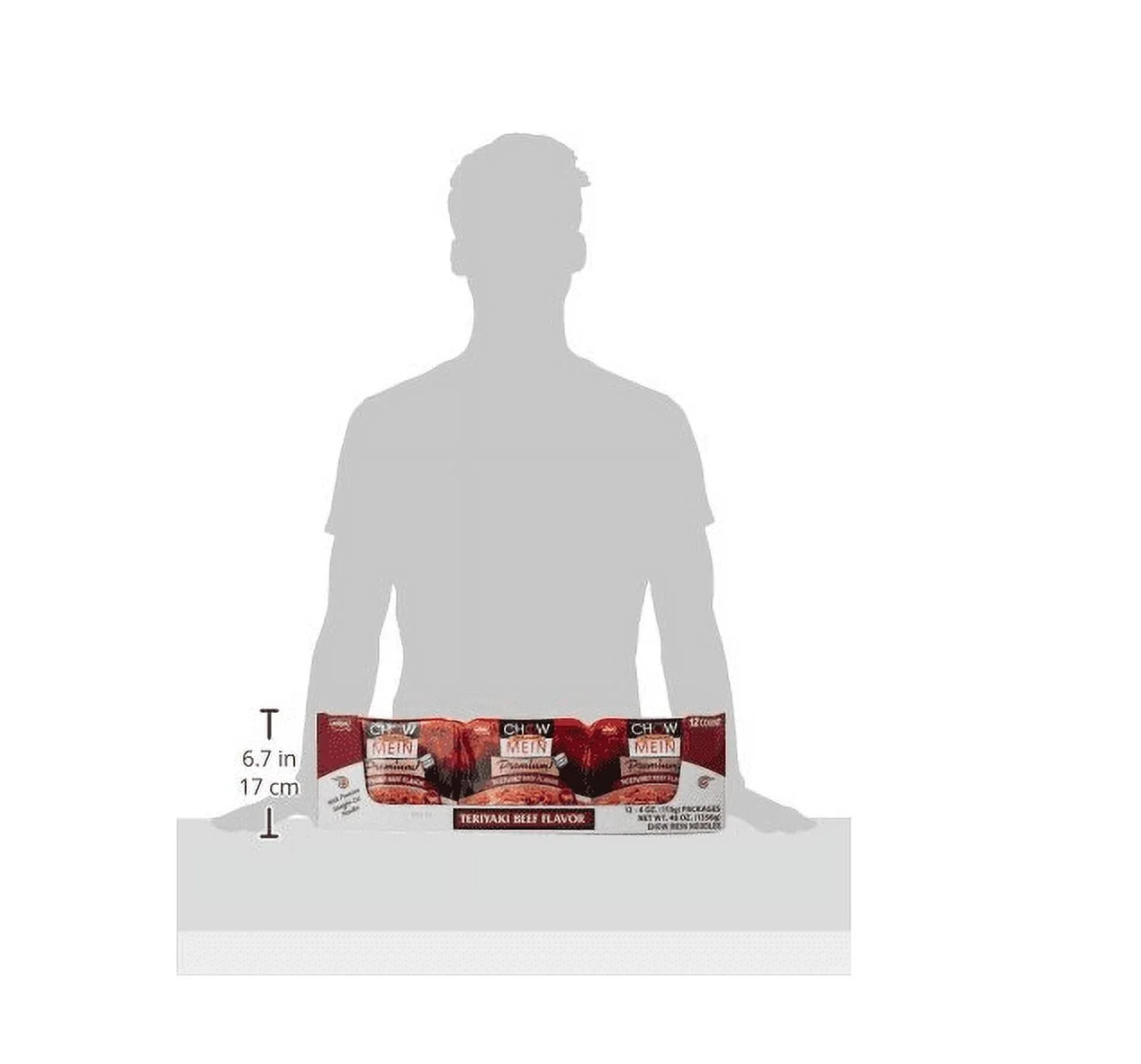 Nissin Chow Mein Premium Teriyaki Beef, 4.0 Ounce (Pack of 12)