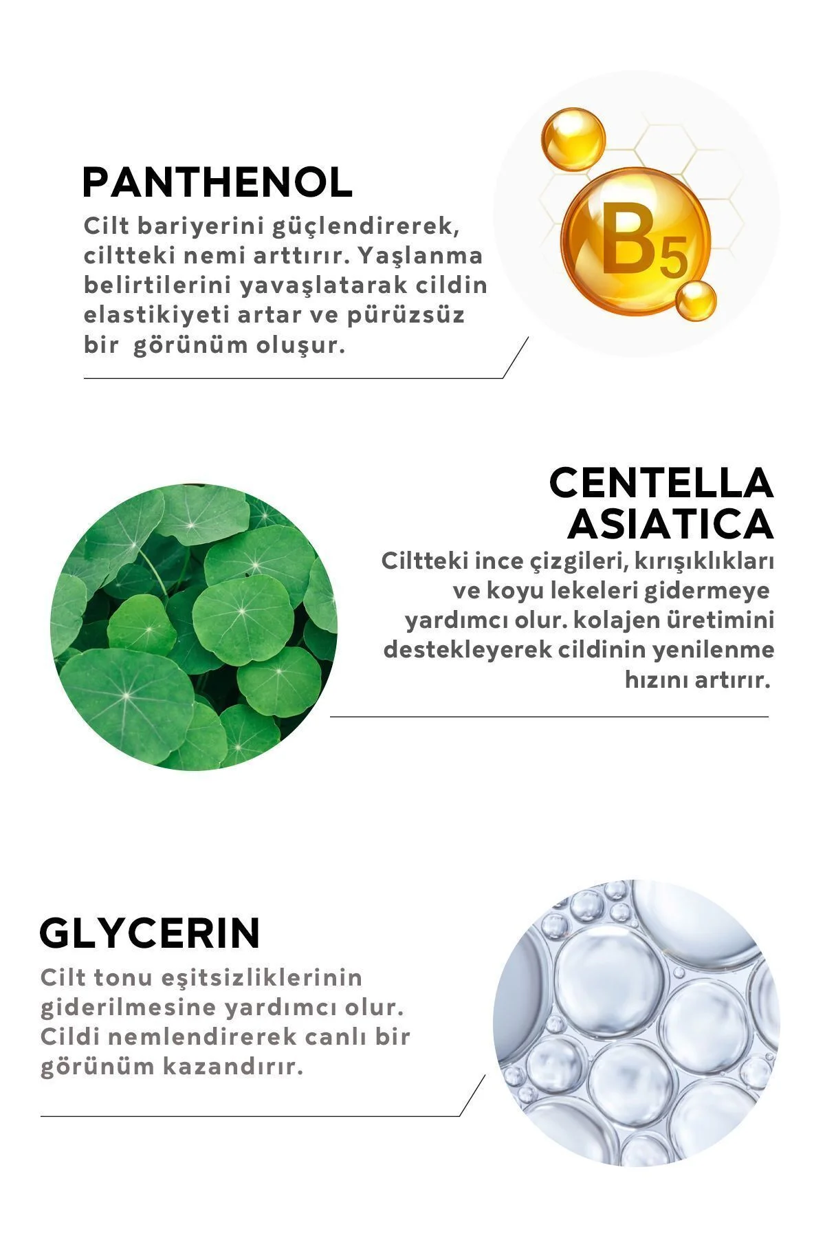 Witch-Hazel Essential Purification and Nourishing Facial Cleaning Gel 200 ml