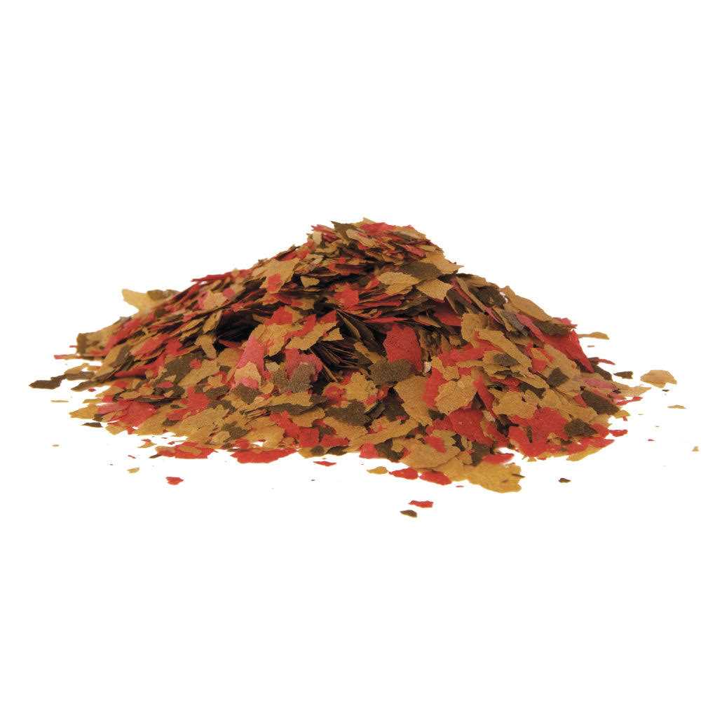 Tetra Large TetraMin Tropical Flakes Fish Food - Pet Supplies online store