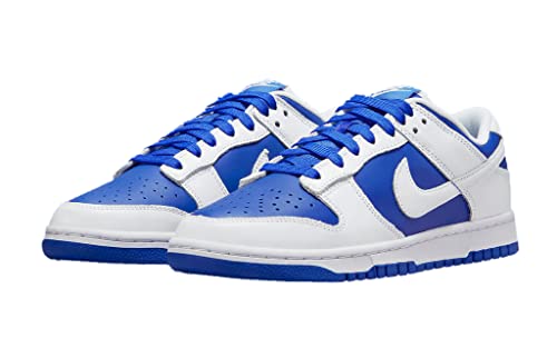 Nike mens Dunk Low