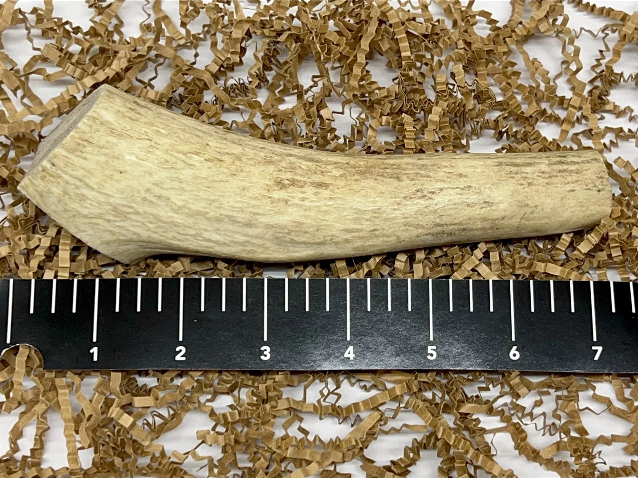 Hearty Chews - Premium ELK Antler for Dogs, Naturally Shed,100% Organic Grade A Antler Dog Bone, Organic Teeth Cleaner, Lasting Nutritional Treat for your Puppy & Dog - LARGE (About 7-9 inches)