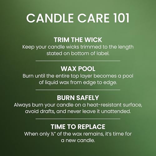 Yankee Candle Balsam & Cedar, Holiday Scented Candle, 22oz Large Jar with up to 150 Hour Burn Time, Giftable