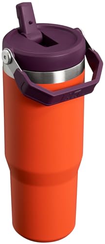 Stanley IceFlow Flip Straw Tumbler with Handle 30 oz | Twist On Lid and Flip Up Straw | Leak Resistant Water Bottle | Insulated Stainless Steel |BPA-Free | Lilac