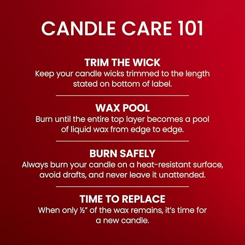 Yankee Candle Balsam & Cedar, Holiday Scented Candle, 22oz Large Jar with up to 150 Hour Burn Time, Giftable