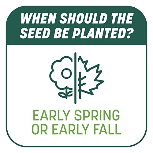 Pennington Smart Seed Sun and Shade Grass Mix 7 lb