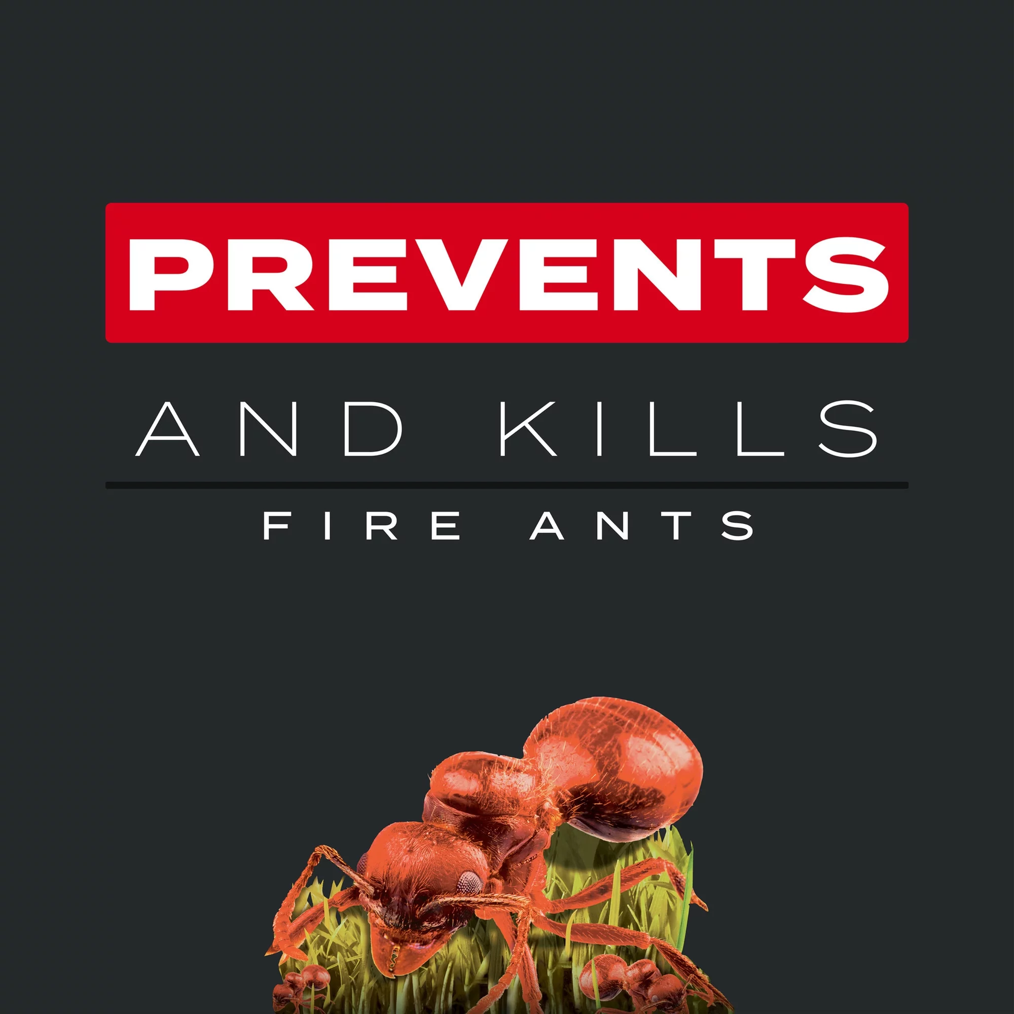 Scotts Turf Builder Southern Triple Action, 4,000 sq. ft., 13.32 lbs.