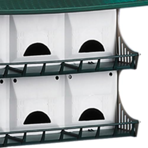 S and K Purple Martin House, 12 Room