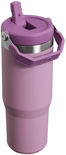 Stanley IceFlow Flip Straw Tumbler with Handle 30 oz | Twist On Lid and Flip Up Straw | Leak Resistant Water Bottle | Insulated Stainless Steel |BPA-Free | Lilac