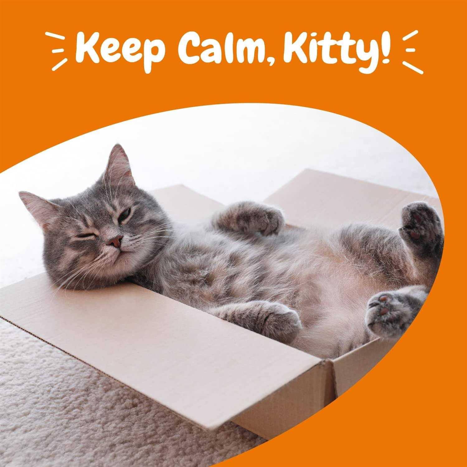 Zesty Paws Calming Bites for Cats - Pet Supplies online store