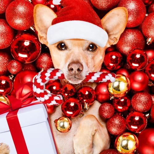 Liliful 24 Pieces Christmas Dog Rope Toys Candy Chew for Puppy Small Medium Large Chewing Teething Clean and Training