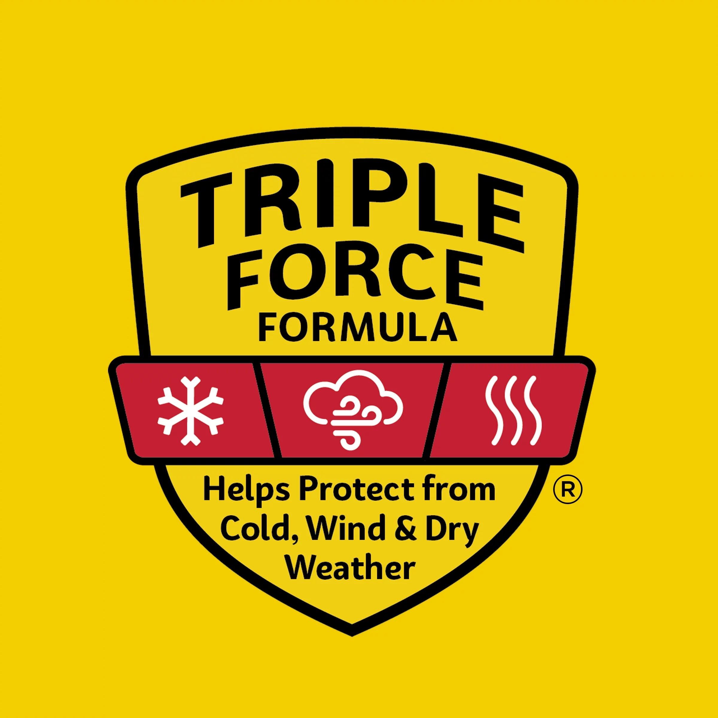 Carmex Medicated Classic Lip Balm Tubes, .35 oz Each, 12 Packs of 3 (36 Tubes Total)