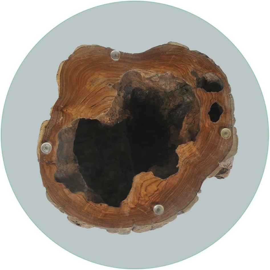 Teak Tree Stump Coffee Table, Natural Wood Side Table with Tempered Glass Top & Teak Base, Solid Wood Round Sofa Table, Tea Stand, Living Room