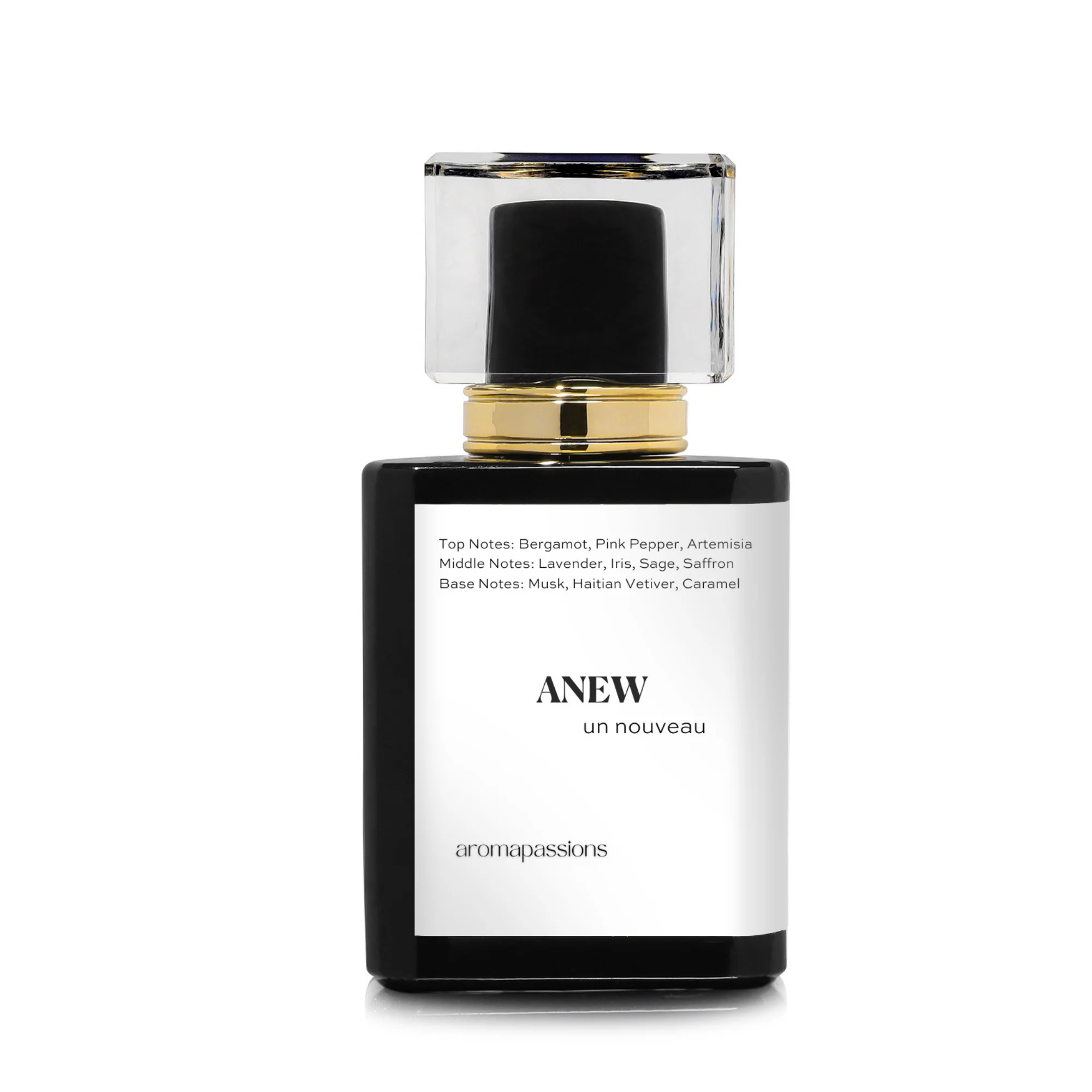 ANEW | Inspired by Prada LUNA ROSSA OCEAN | Pheromone Perfume for Men | Extrait De Parfum | Long Lasting Dupe Clone Perfume Cologne