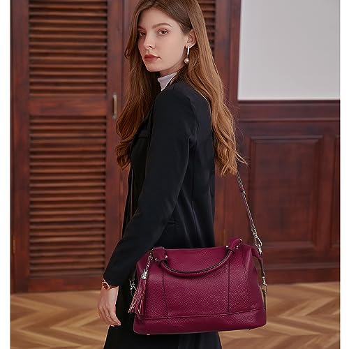 HESHE Womens Genuine Leather Handbags Purse Crossbody Satchel Tote Bags Ladies Real Leather Bags