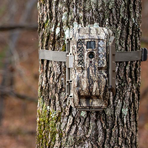 Moultrie Mobile 7000i Cellular Trail Camera