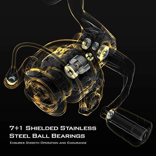 KastKing Valiant Eagle Gold Spinning Reel - 6.2:1 High-Speed Gear Ratio, Freshwater and Saltwater Fishing Reel, Faster Line Retrieve, Braid Ready Spool, 7+1 Shielded Stainless Steel Ball Bearings