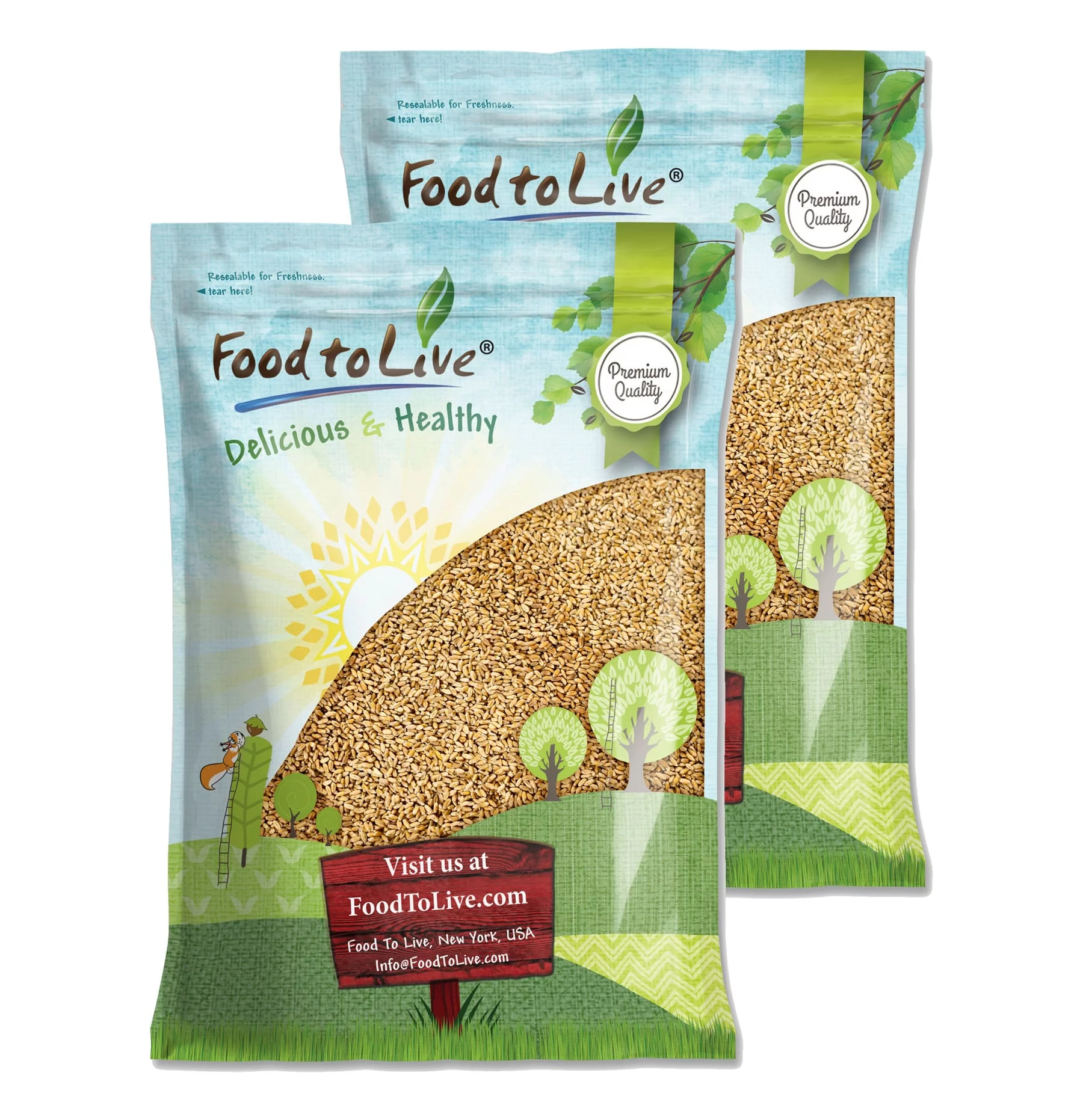 Wheat Berries, 20 Pounds — Kosher, Sproutable, Raw, Vegan — by Food to Live