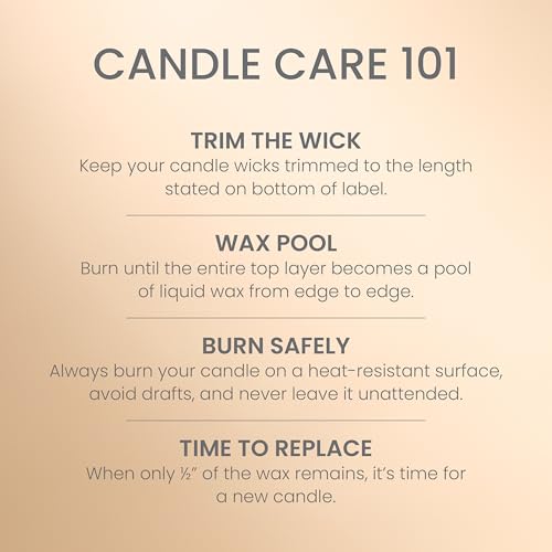 Yankee Candle Sugared Cinnamon Apple, Scented Candle, 22oz Large Jar with up to 150 Hour Burn Time, Giftable