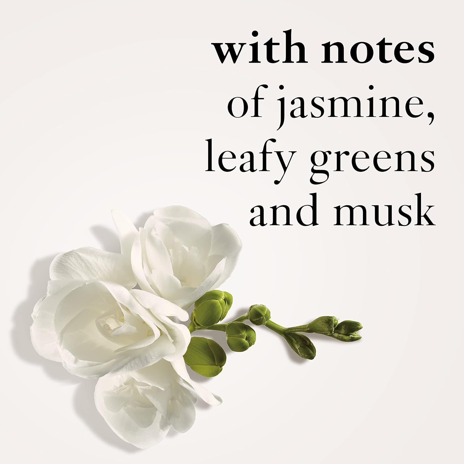 philosophy amazing grace ballet rose emulsion & shower gel duo