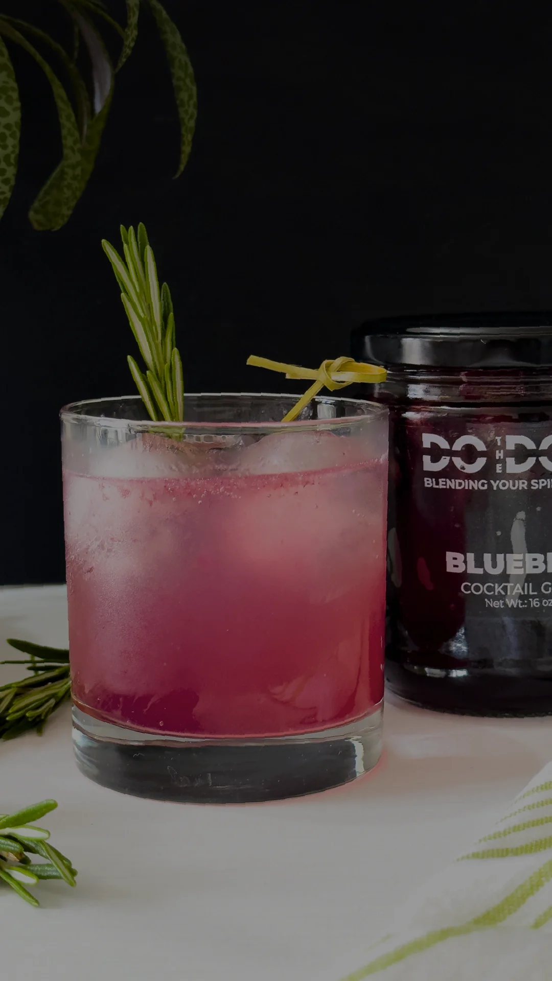 BLUEBERRY IN LIGHT SYRUP  12 units x 16oz