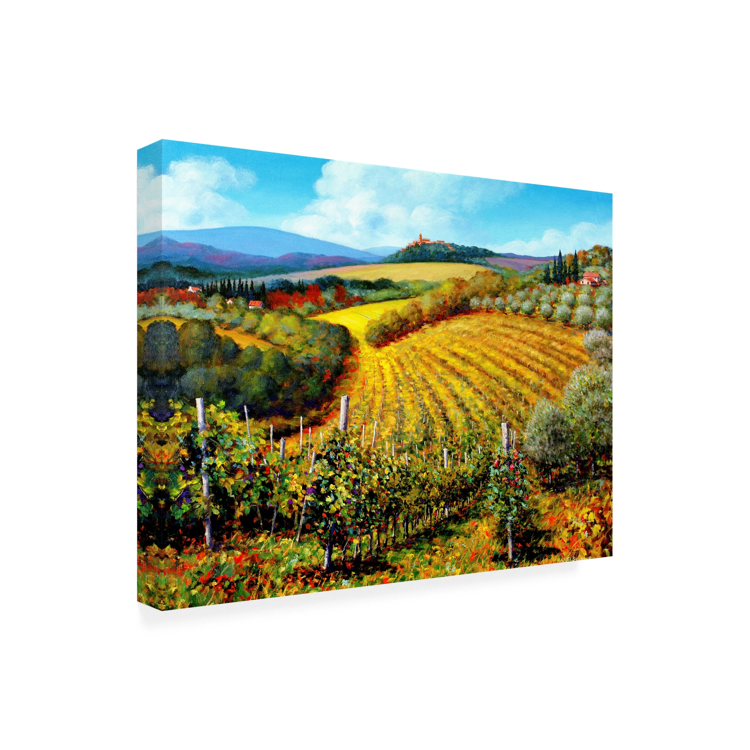 Michael Swanson 'Chianti Vineyards' Outdoor Canvas