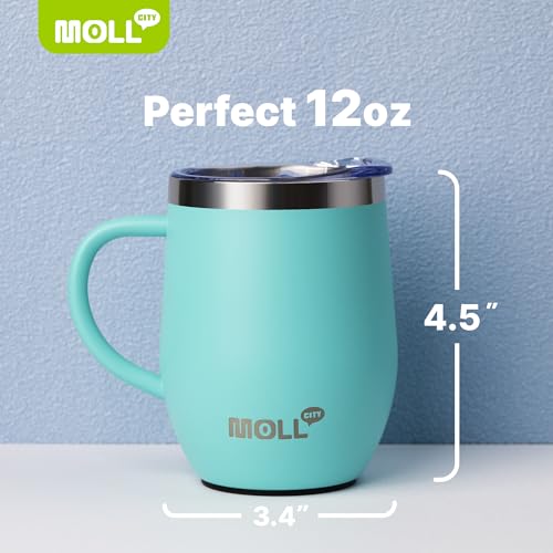 Tumbler with Lid and Straw-12 oz Stainless Steel Double Wall Vacuum Insulated Tumbler Cup with Handle (Canyon Red-Sky Blue)