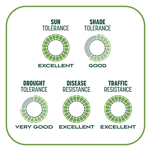 Pennington Smart Patch Tall Fescue Mix 10 lb