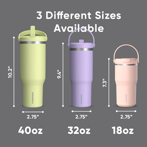 Hydrapeak Nomad 24 oz Tumbler with Handle and Straw Lid, Leakproof, Double Insulated, 24oz Cup Stainless Steel (Blush)