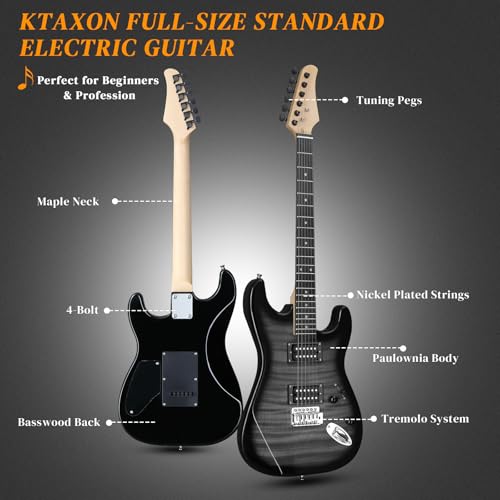 Ktaxon Electric Guitar Kit, 39 Inch H-H Pickups Beginner Electric Guitar Set with 20W Amplifier, Bag, Strap, Cable, Accessories for Adults & Teens (Tiger Black)