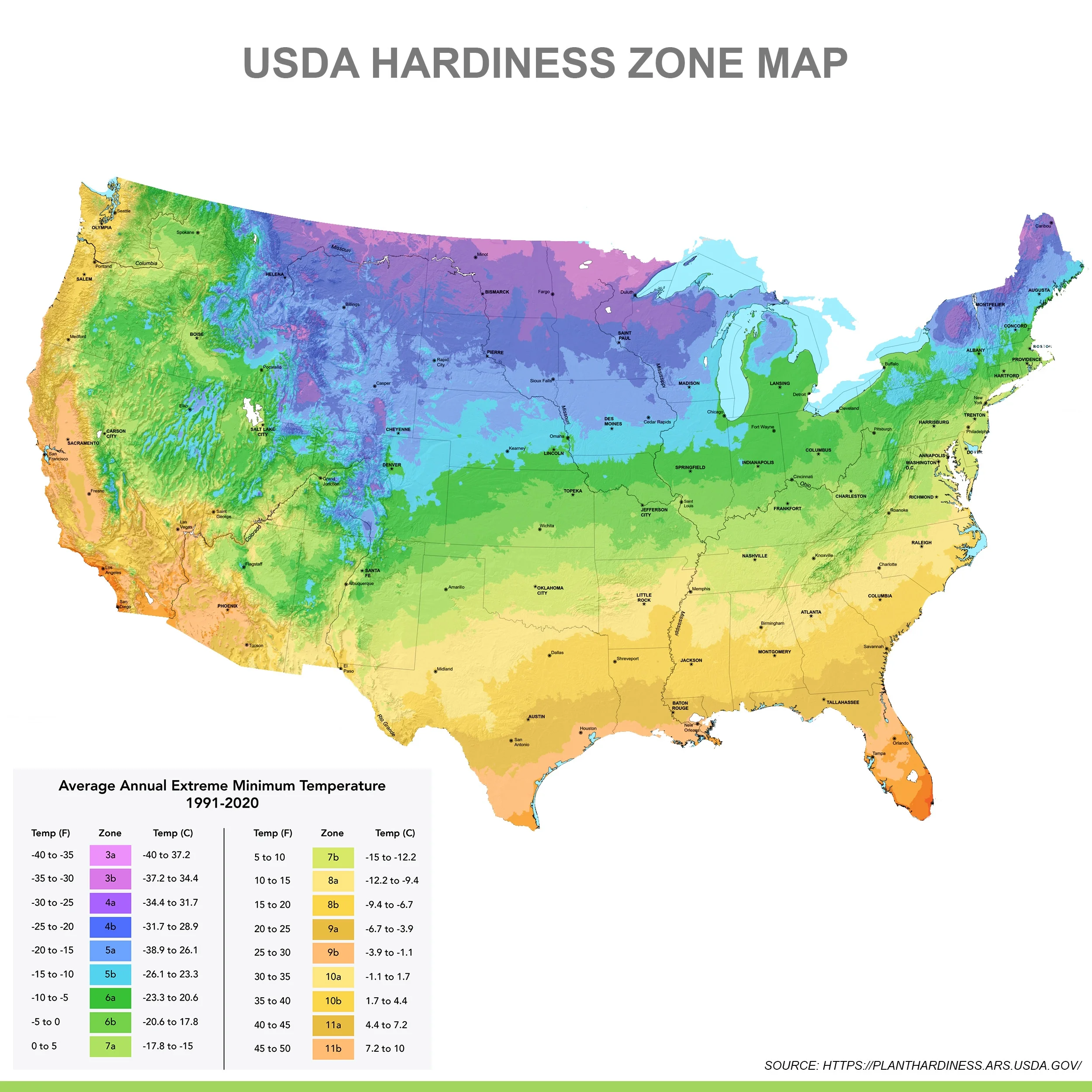 Garden State Bulb Premium Pharaoh's Mask Elephant Ear Bulbs, 7/9 inches (Bag of 1)