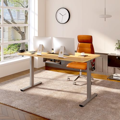 FLEXISPOT EN2 Whole-Piece Standing Desk with Clamp Power Strip, 55 x 28” Electric Stand Up Height Adjustable Desk with Cable Management (Black Frame + 55