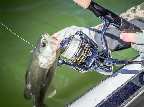 Pflueger President Spinning Fishing Reel