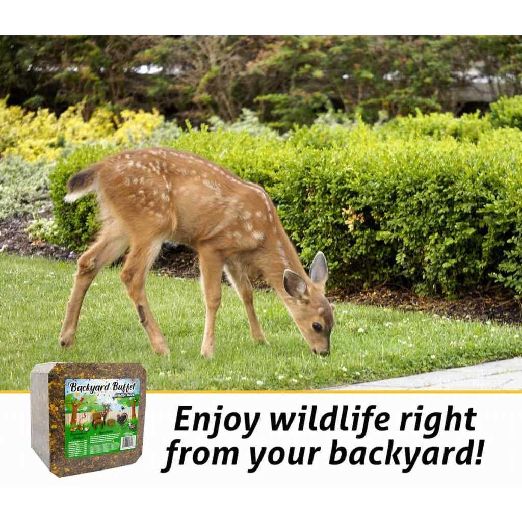 Backyard Buffet Wildlife Treat - Pet Supplies online store