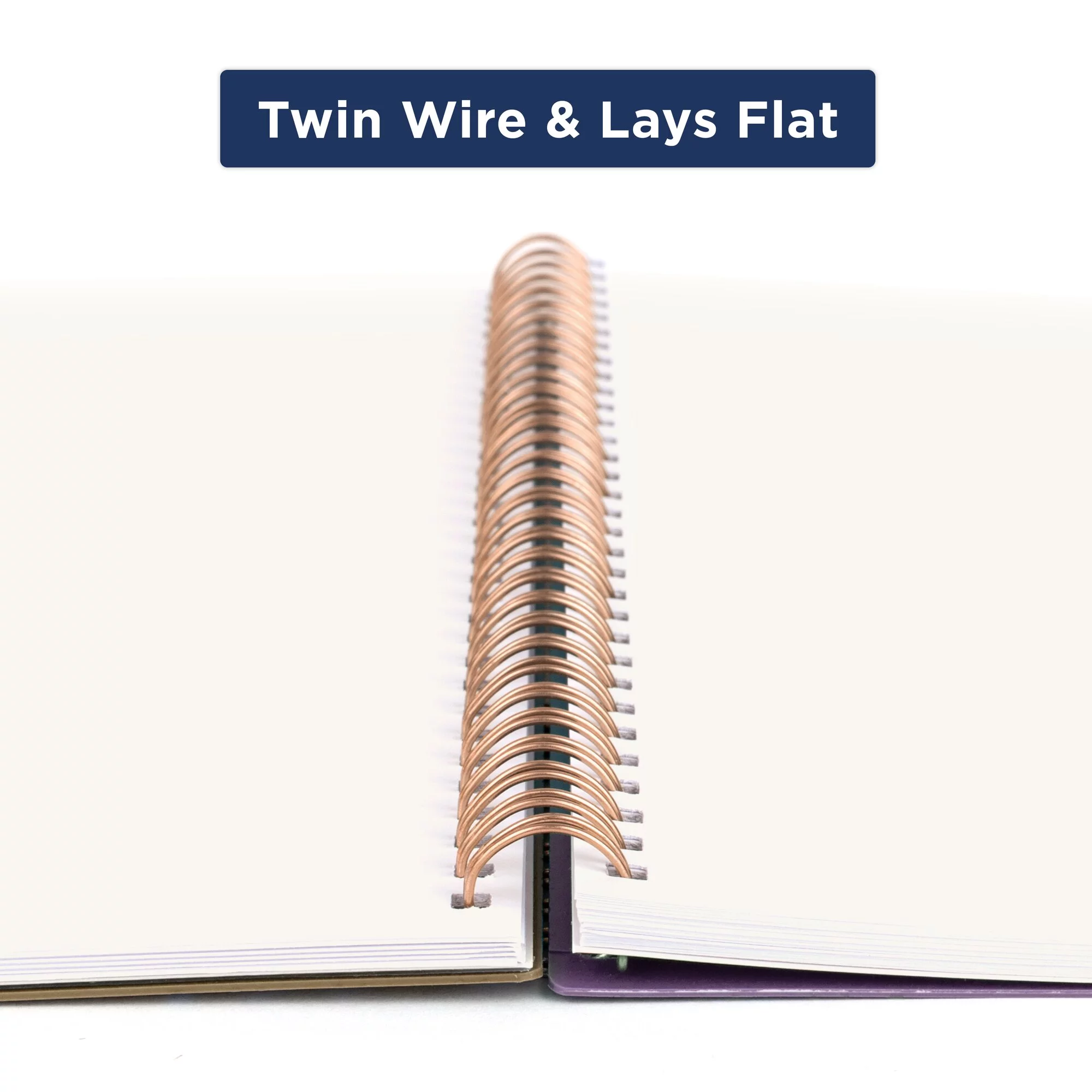 Cambridge Vienna 2024 Weekly Monthly Planner Large 8 12 x 11 - Planners