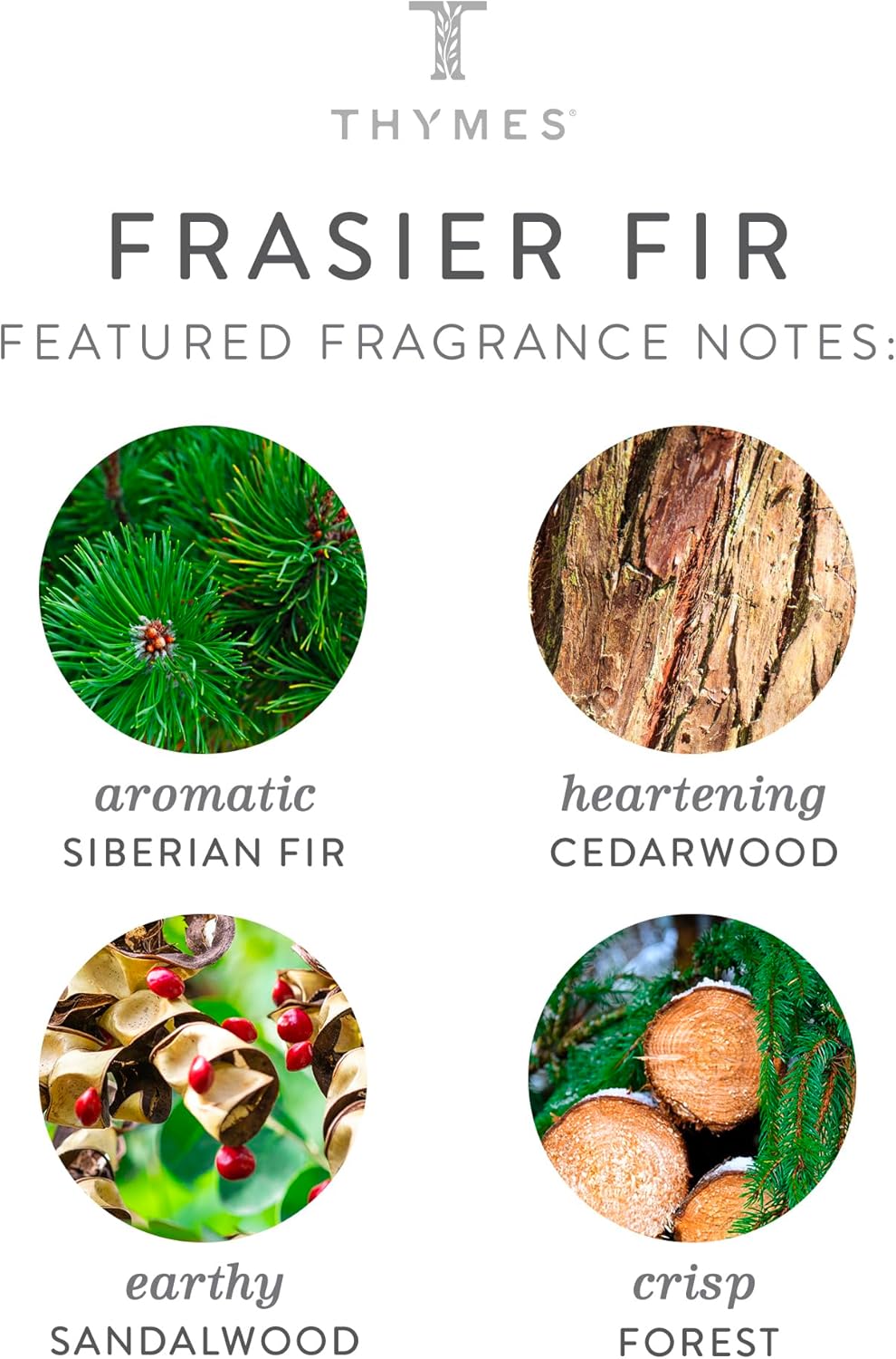 Thymes Frasier Fir Candle - Gilded Ceramic Small Jar Candle - Scented Candle with a Luxury Home Fragrance - Elegant Holiday Candle - Single-Wick Candle - White Candle (6 oz)